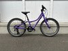 Naloo Chameleon 20 , Mk2, Purple Occasion